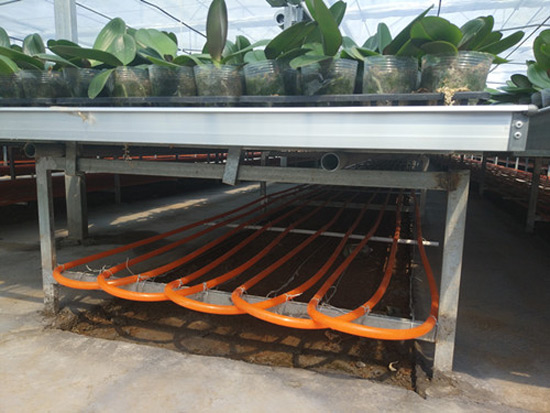 農(nóng)業(yè)種植、養(yǎng)殖地源熱泵供暖系統(tǒng)